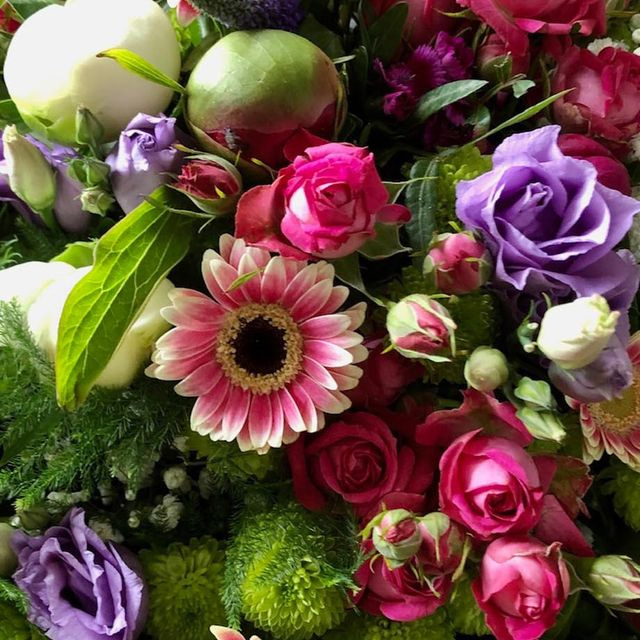 Saisonblumen im Zillertal